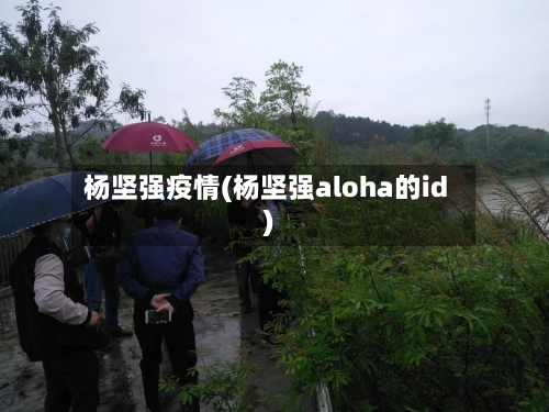 杨坚强疫情(杨坚强aloha的id)-第3张图片