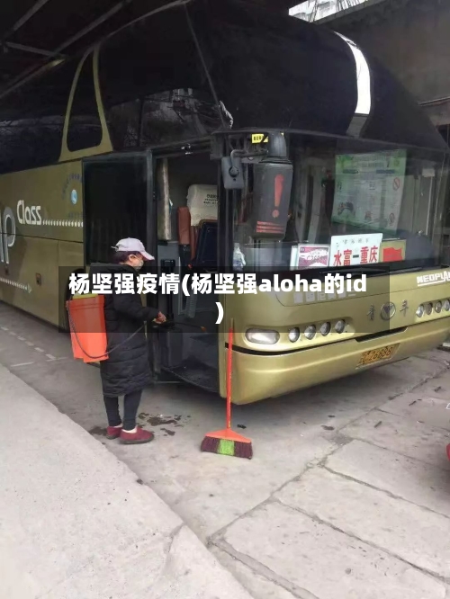 杨坚强疫情(杨坚强aloha的id)-第2张图片