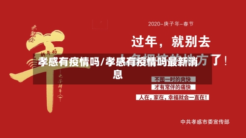 孝感有疫情吗/孝感有疫情吗最新消息-第2张图片