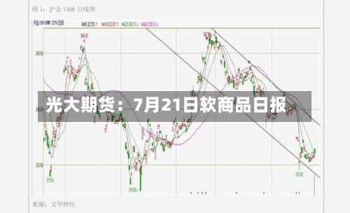 光大期货：7月21日软商品日报