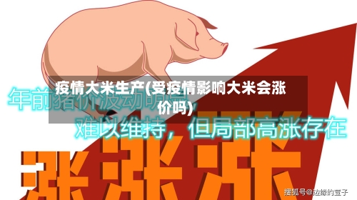 疫情大米生产(受疫情影响大米会涨价吗)-第2张图片