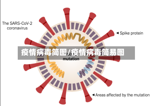 疫情病毒简图/疫情病毒简易图-第3张图片
