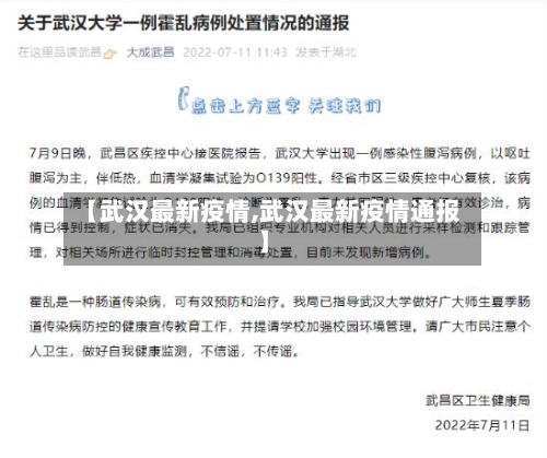 【武汉最新疫情,武汉最新疫情通报】-第2张图片