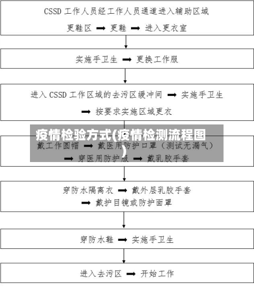 疫情检验方式(疫情检测流程图)-第3张图片