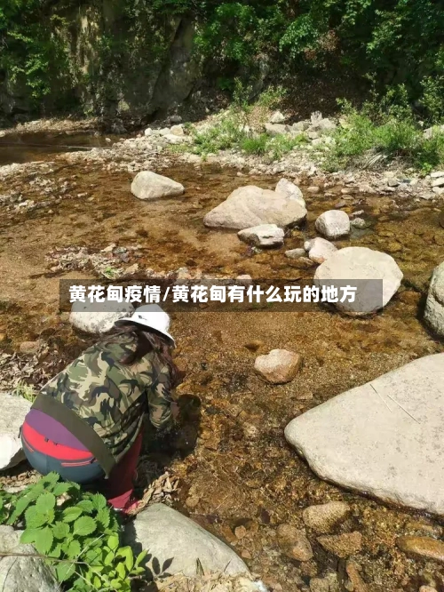 黄花甸疫情/黄花甸有什么玩的地方