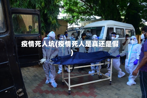 疫情死人坑(疫情死人是真还是假)