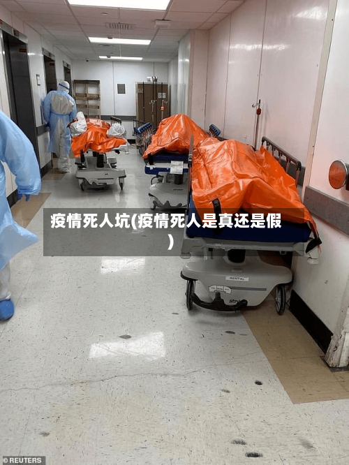 疫情死人坑(疫情死人是真还是假)-第2张图片
