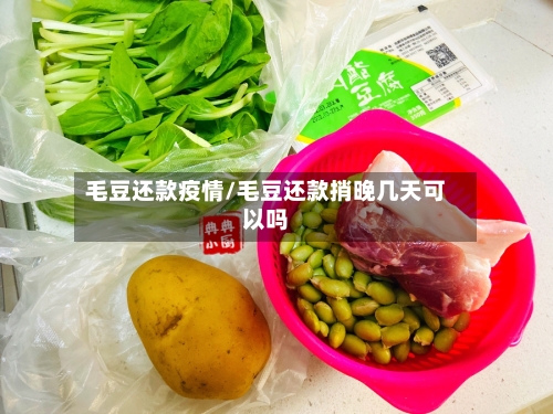 毛豆还款疫情/毛豆还款捎晚几天可以吗