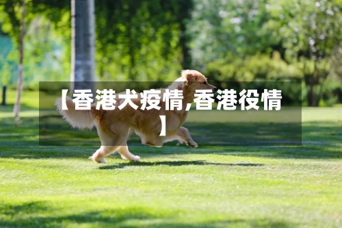 【香港犬疫情,香港役情】-第2张图片