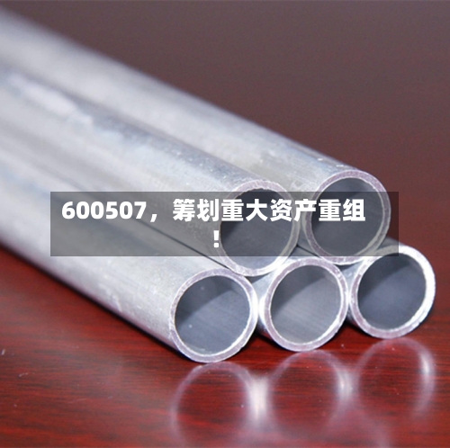 600507，筹划重大资产重组！-第2张图片