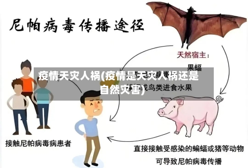 疫情天灾人祸(疫情是天灾人祸还是自然灾害)