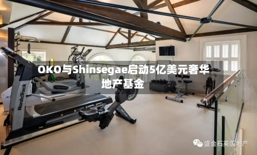 OKO与Shinsegae启动5亿美元奢华地产基金-第2张图片