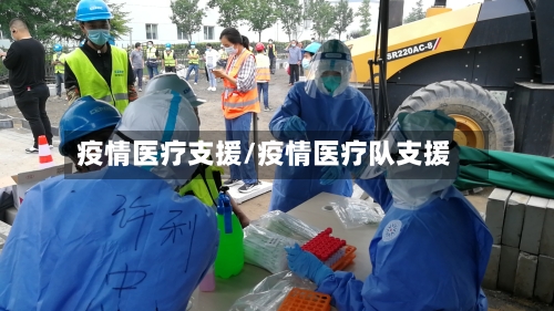 疫情医疗支援/疫情医疗队支援