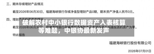 破解农村中小银行数据资产入表核算等难题，中银协最新发声