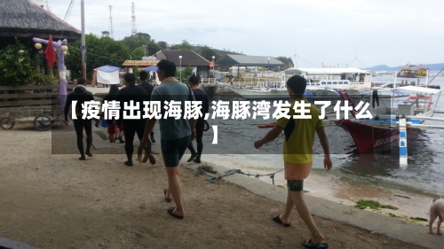 【疫情出现海豚,海豚湾发生了什么】