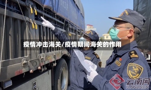 疫情冲击海关/疫情期间海关的作用