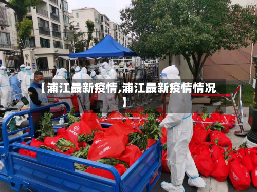 【浦江最新疫情,浦江最新疫情情况】