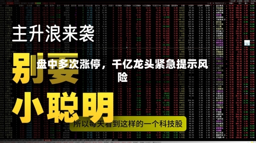 盘中多次涨停，千亿龙头紧急提示风险-第2张图片
