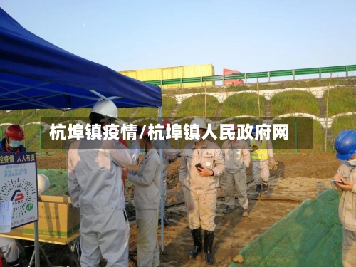 杭埠镇疫情/杭埠镇人民政府网
