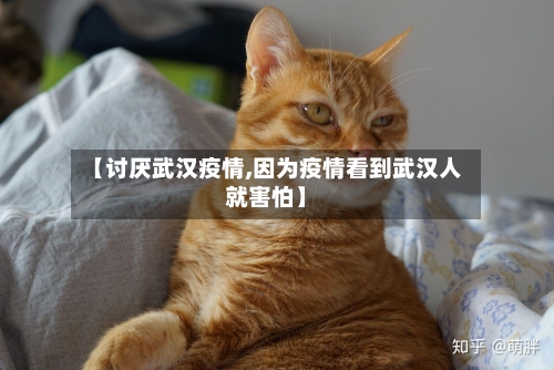 【讨厌武汉疫情,因为疫情看到武汉人就害怕】