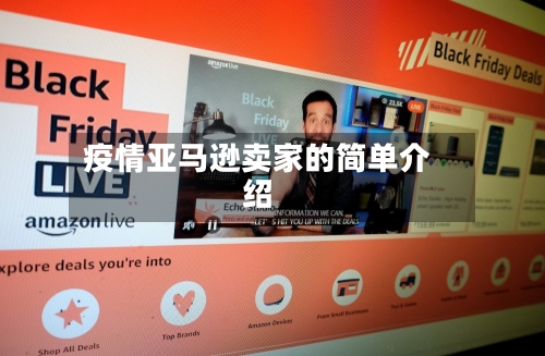 疫情亚马逊卖家的简单介绍