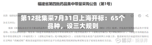 第12批集采7月31日上海开标：65个品种，设三大规则-第2张图片