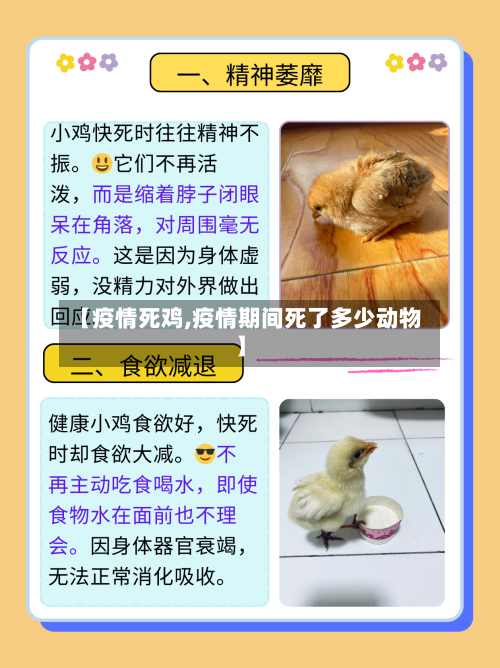 【疫情死鸡,疫情期间死了多少动物】