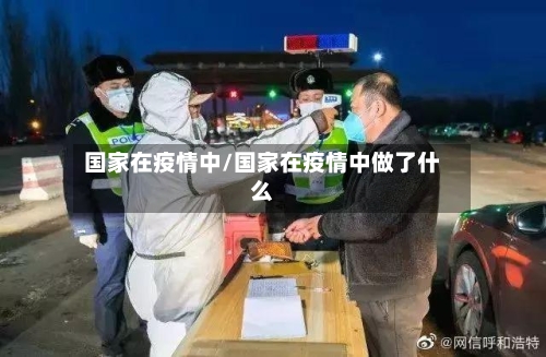 国家在疫情中/国家在疫情中做了什么-第2张图片