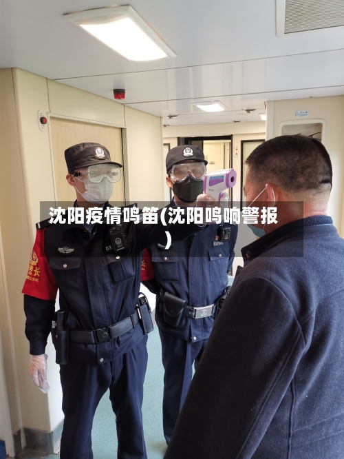 沈阳疫情鸣笛(沈阳鸣响警报)-第2张图片