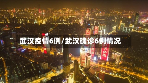 武汉疫情6例/武汉确诊6例情况