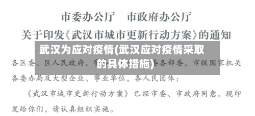 武汉为应对疫情(武汉应对疫情采取的具体措施)-第3张图片