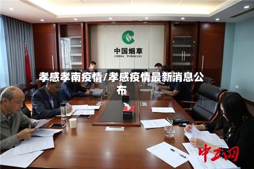 孝感孝南疫情/孝感疫情最新消息公布-第3张图片