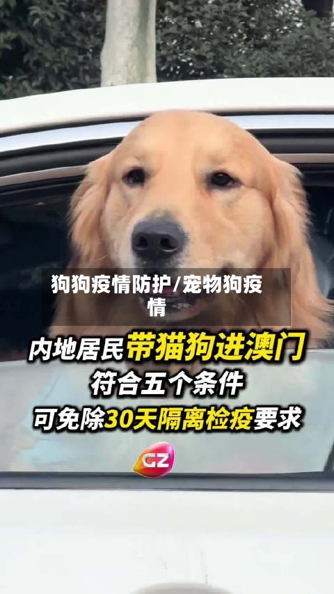 狗狗疫情防护/宠物狗疫情