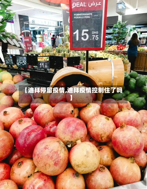 【迪拜停留疫情,迪拜疫情控制住了吗】-第2张图片
