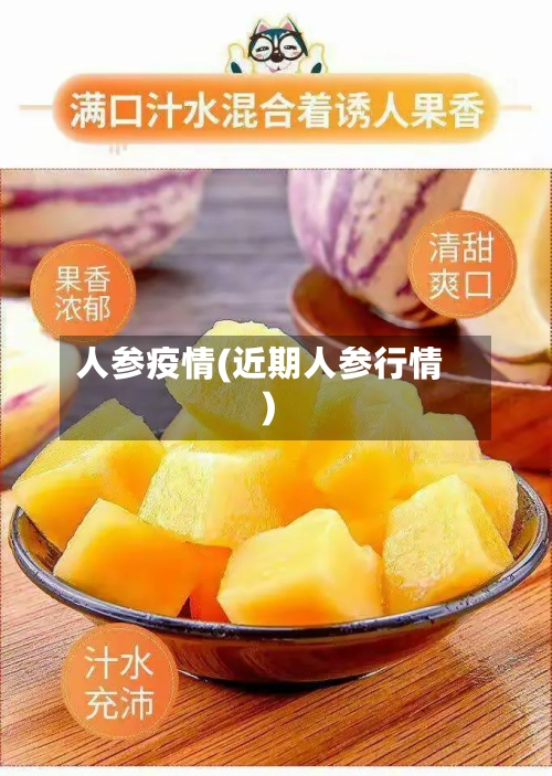 人参疫情(近期人参行情)