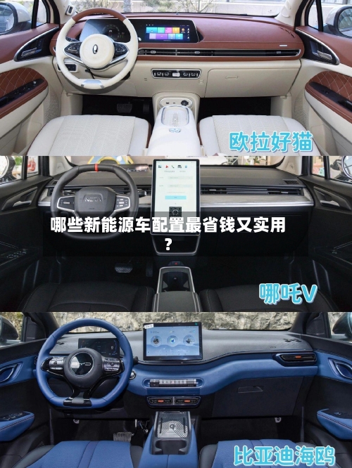 哪些新能源车配置最省钱又实用？-第2张图片
