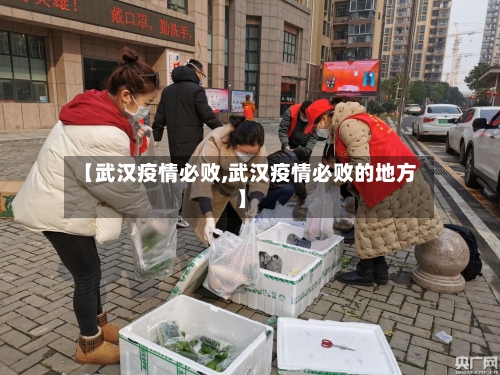 【武汉疫情必败,武汉疫情必败的地方】-第3张图片