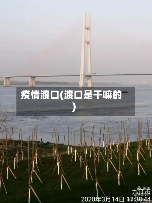 疫情渡口(渡口是干嘛的)