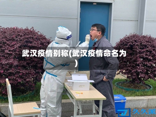武汉疫情别称(武汉疫情命名为)