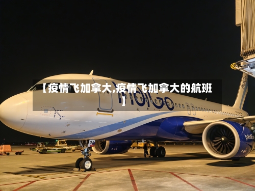 【疫情飞加拿大,疫情飞加拿大的航班】
