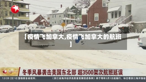 【疫情飞加拿大,疫情飞加拿大的航班】-第2张图片