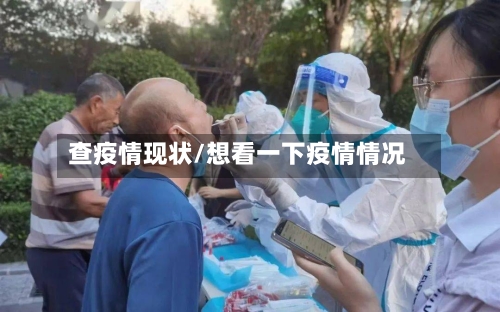 查疫情现状/想看一下疫情情况