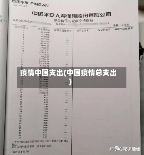 疫情中国支出(中国疫情总支出)-第3张图片