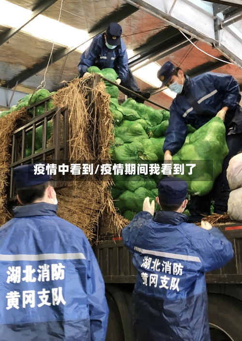 疫情中看到/疫情期间我看到了-第2张图片