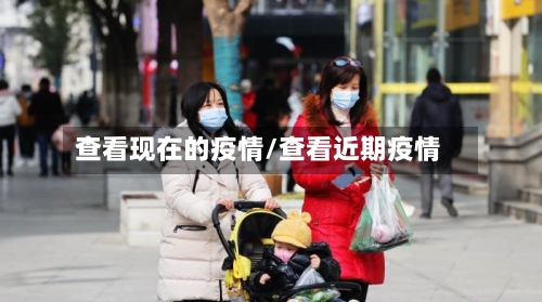 查看现在的疫情/查看近期疫情-第2张图片