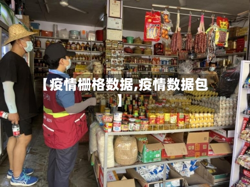 【疫情栅格数据,疫情数据包】