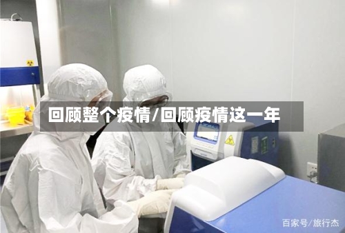 回顾整个疫情/回顾疫情这一年