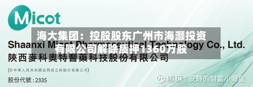 海大集团：控股股东广州市海灏投资有限公司解除质押1360万股