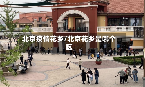 北京疫情花乡/北京花乡是哪个区-第3张图片
