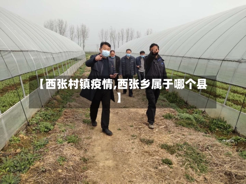 【西张村镇疫情,西张乡属于哪个县】